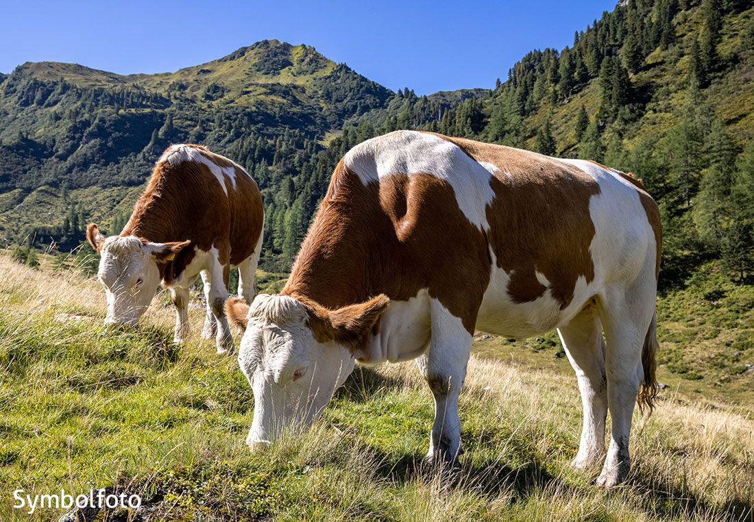 Verkaufsbörse BIO Landwirtschaft Ennstal